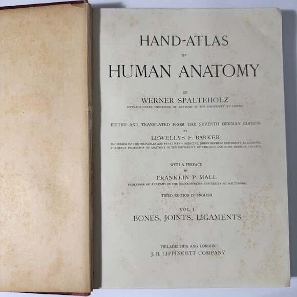 Werner Spalteholz Hand Atlas Of Human Anatomy Vol I Lippincott Medical HC Third - Picture 4 of 16